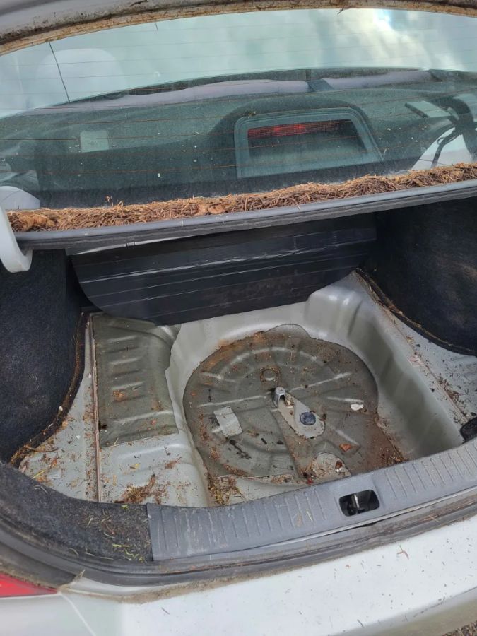 Debris-filled trunk well overdue for a deep clean