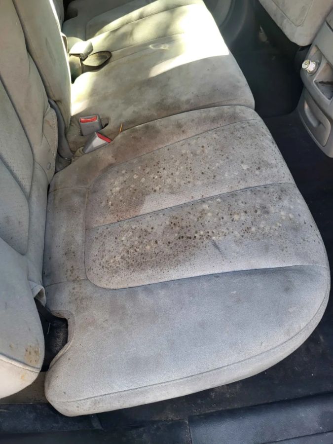 Mold spotting across a vehicle seat