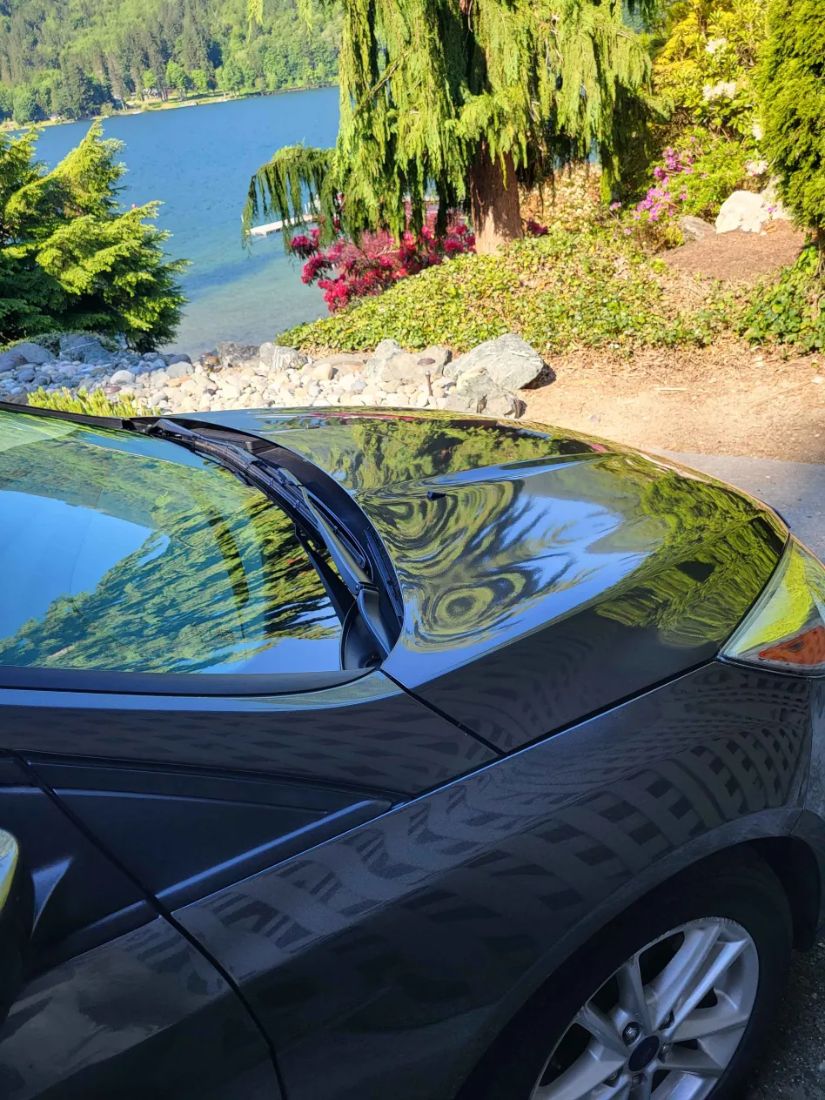 Glossy black hood detailed by the lake